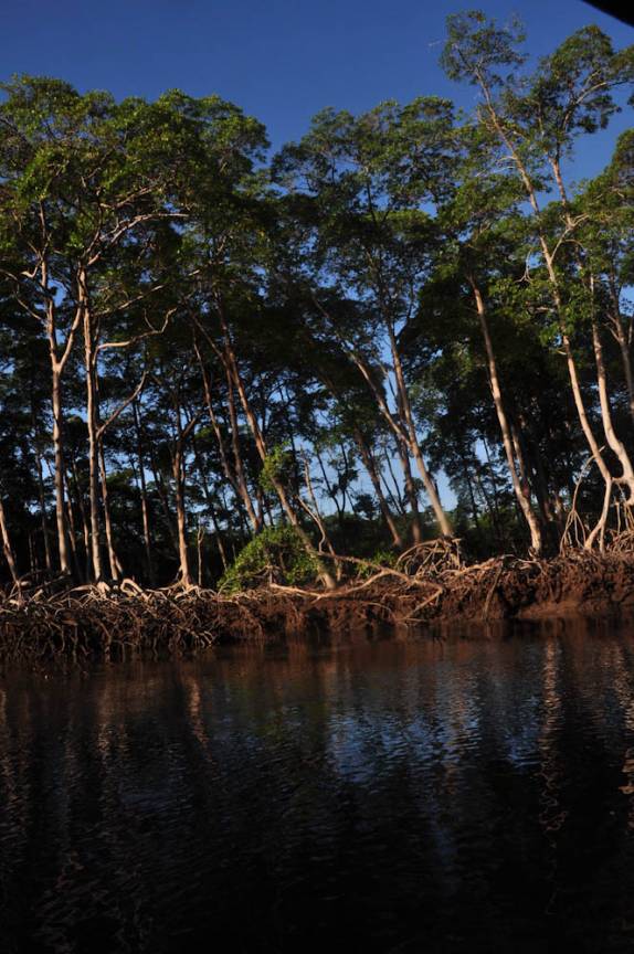 Percorrendo igarapés por entre o mangue do Delta do Parnaíba, na fronteira dos estados do Piauí e Maranhão